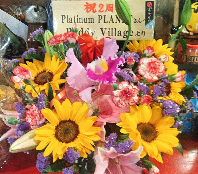 今晩は!!